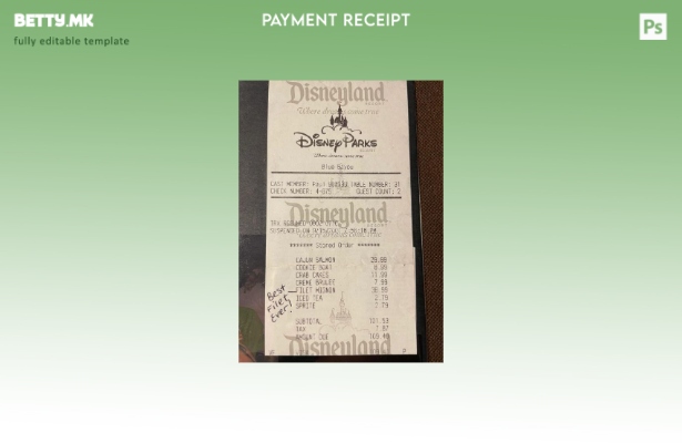 Модерен стил шаблон за проверка на плаќање во паркот Дизниленд